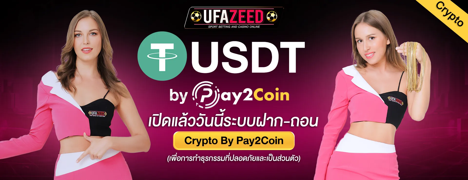 imgi_11_pay2-pc_2